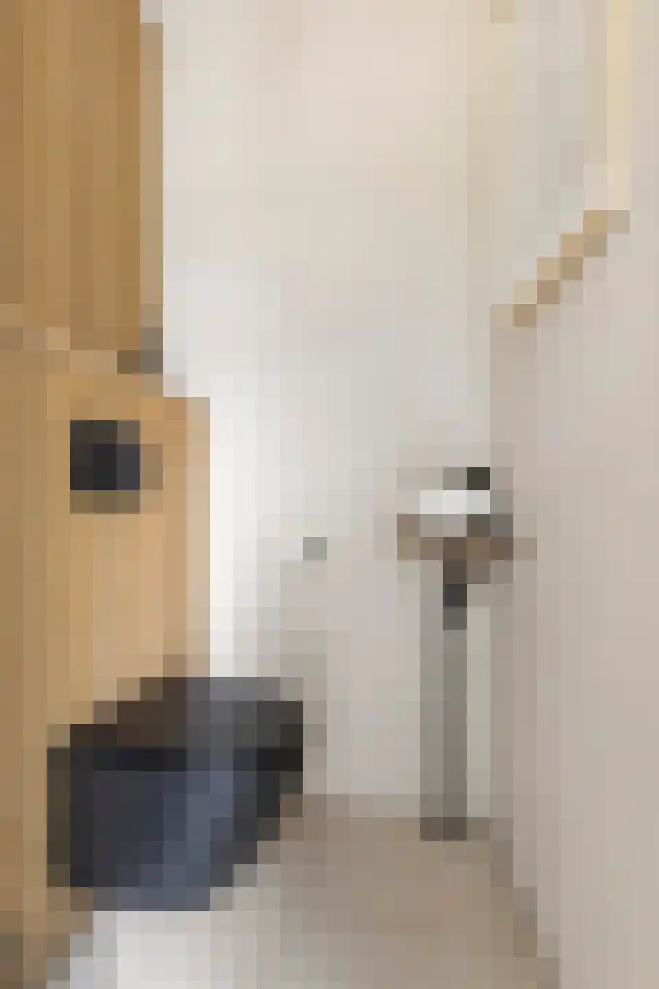 Barkmolenstraat 225 Groningen thumbnail 9