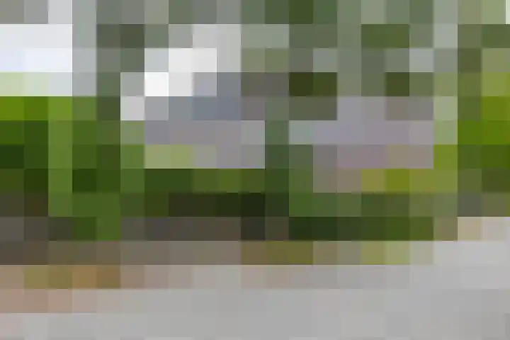 Barkmolenstraat 31 Groningen thumbnail 10