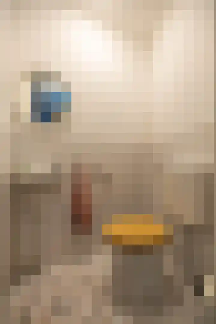 Barkmolenstraat 31 Groningen thumbnail 13