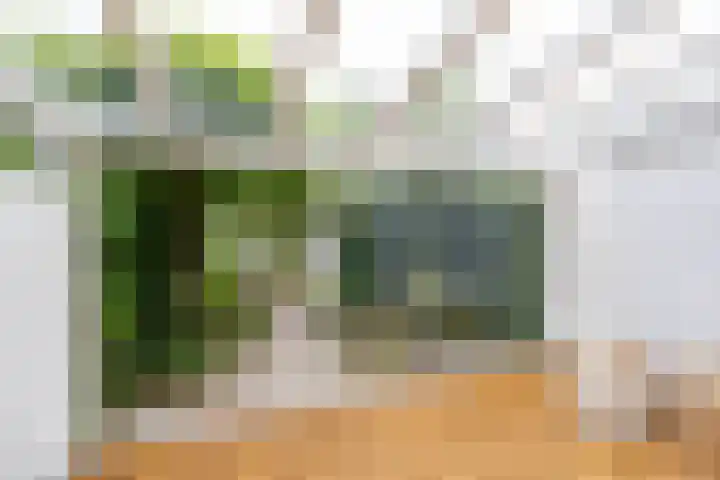 Barkmolenstraat 31 Groningen thumbnail 24