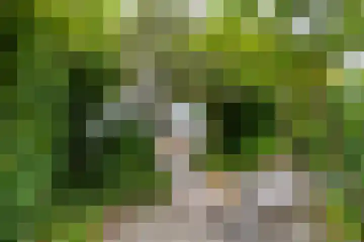 Barkmolenstraat 31 Groningen thumbnail 28