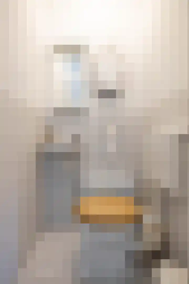 Barkmolenstraat 31 Groningen thumbnail 33