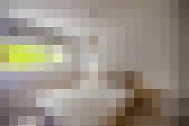 Barkmolenstraat 31 Groningen thumbnail 34