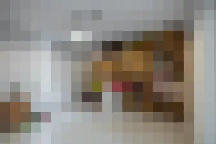 Barkmolenstraat 31 Groningen thumbnail 39