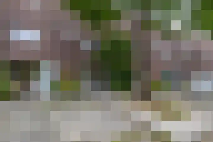 Barkmolenstraat 31 Groningen thumbnail 6