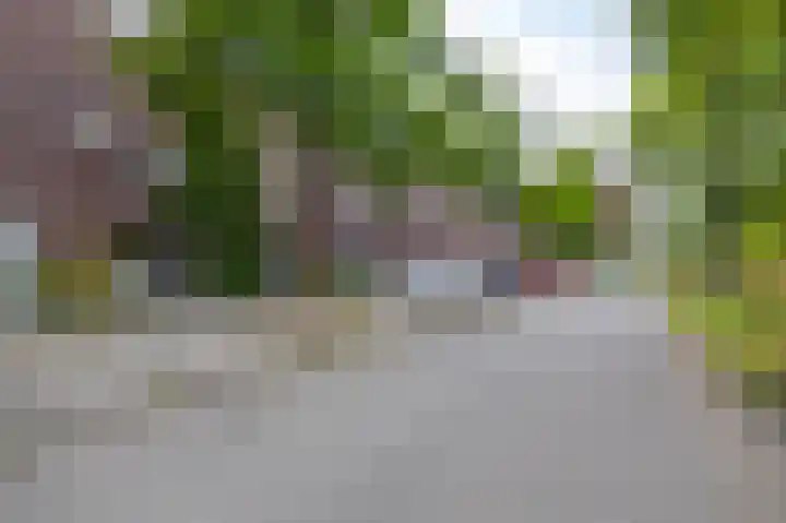 Barkmolenstraat 31 Groningen thumbnail 7