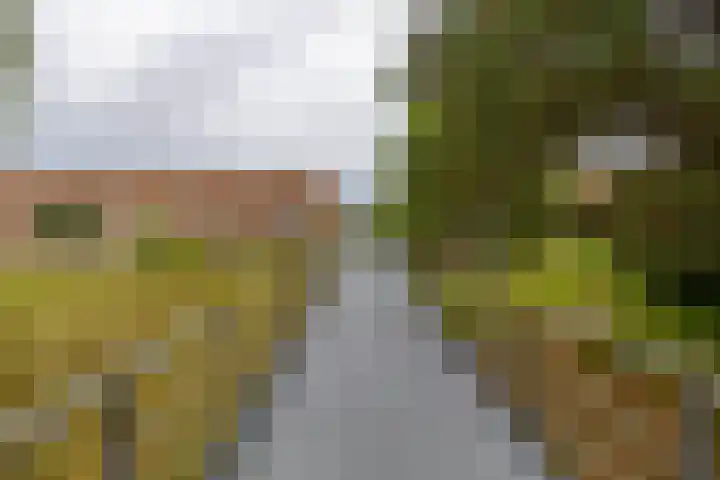 Barkmolenstraat 31 Groningen thumbnail 8