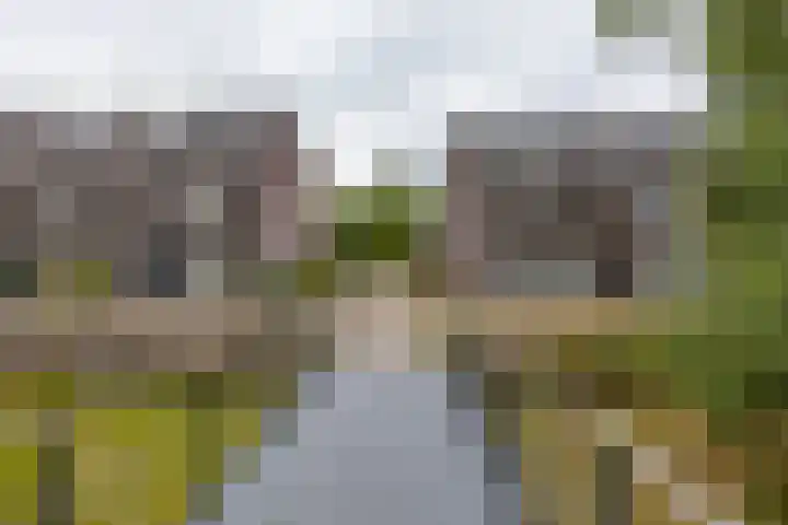 Barkmolenstraat 31 Groningen thumbnail 9