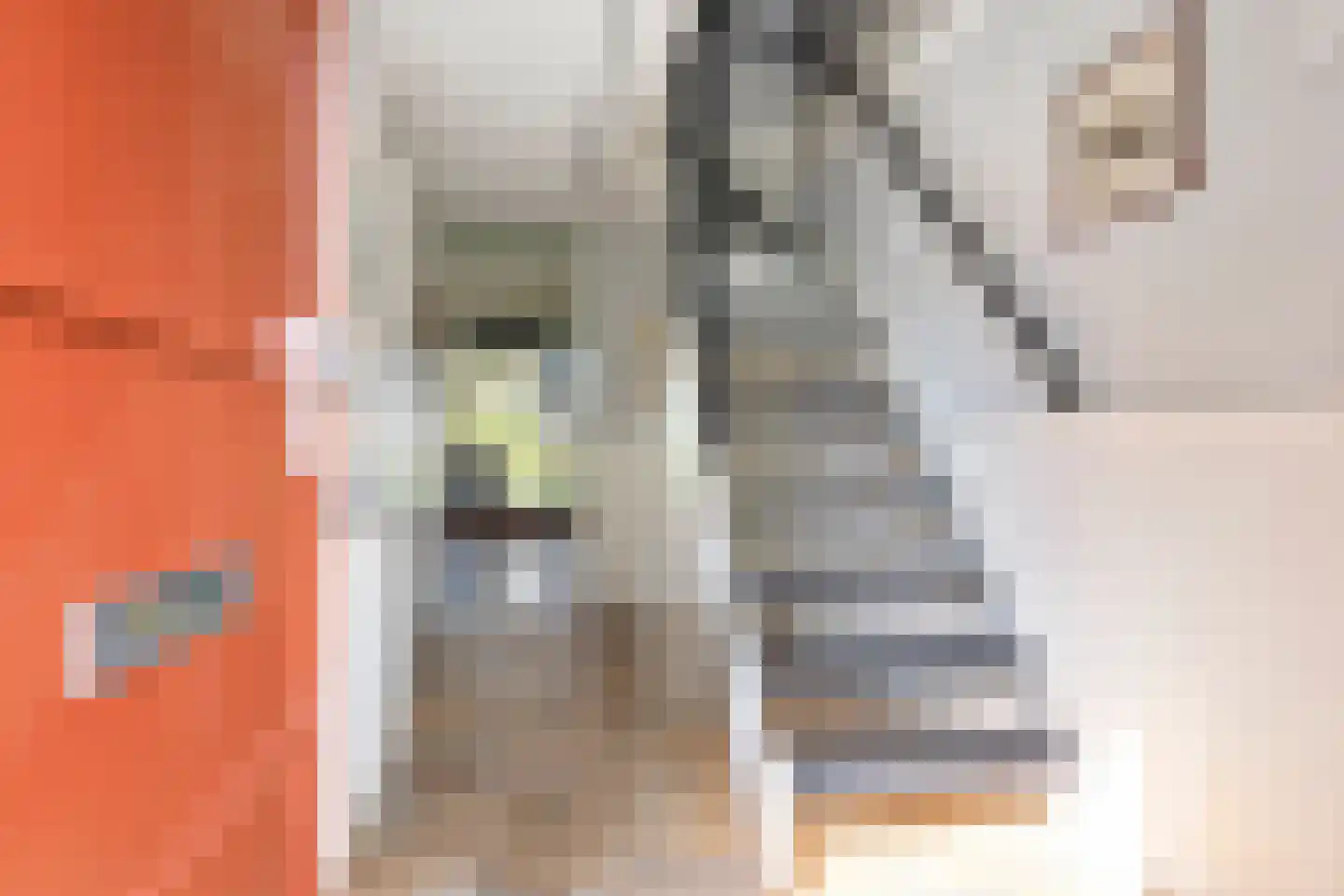 Barkmolenstraat 76 Groningen thumbnail 10
