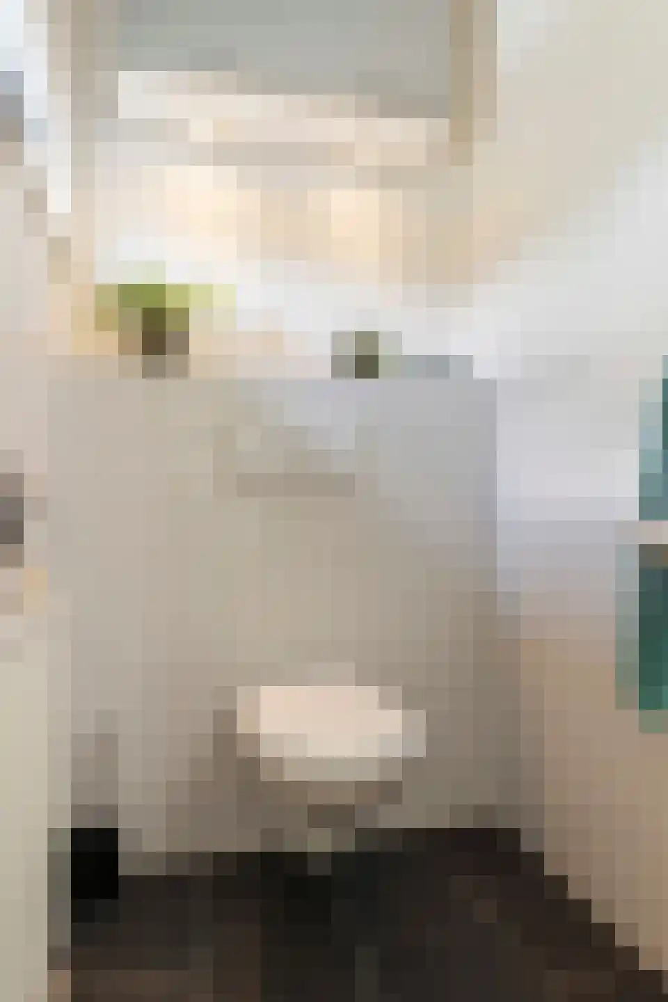 Barkmolenstraat 76 Groningen thumbnail 27