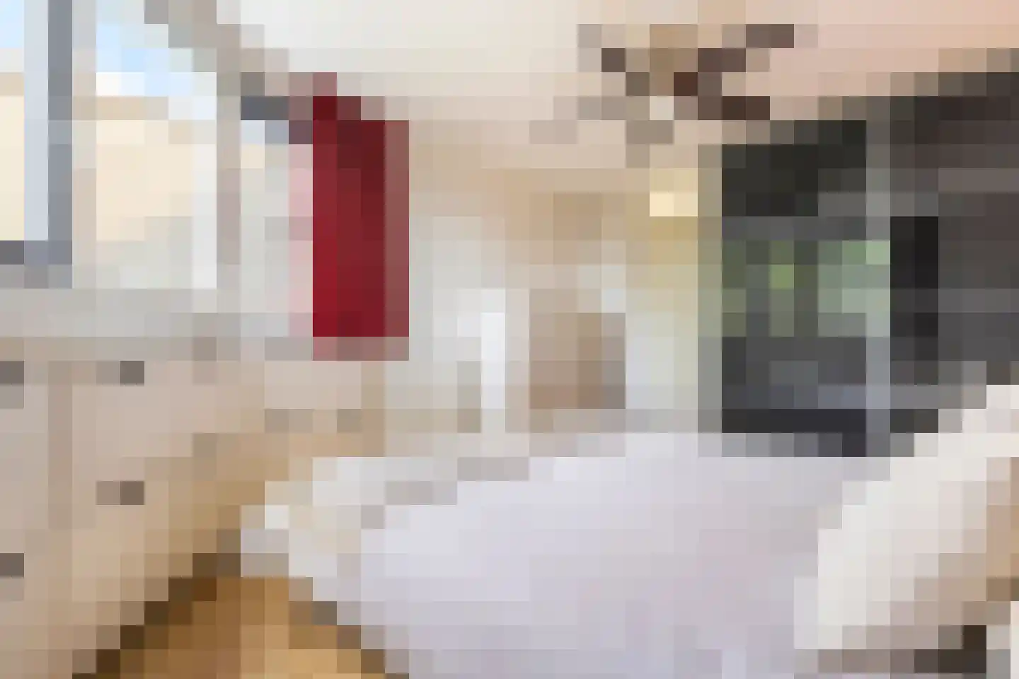 Barkmolenstraat 76 Groningen thumbnail 30