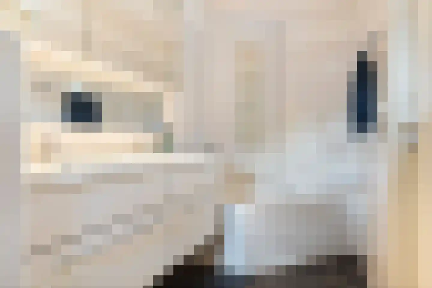 Barkmolenstraat 76 Groningen thumbnail 34