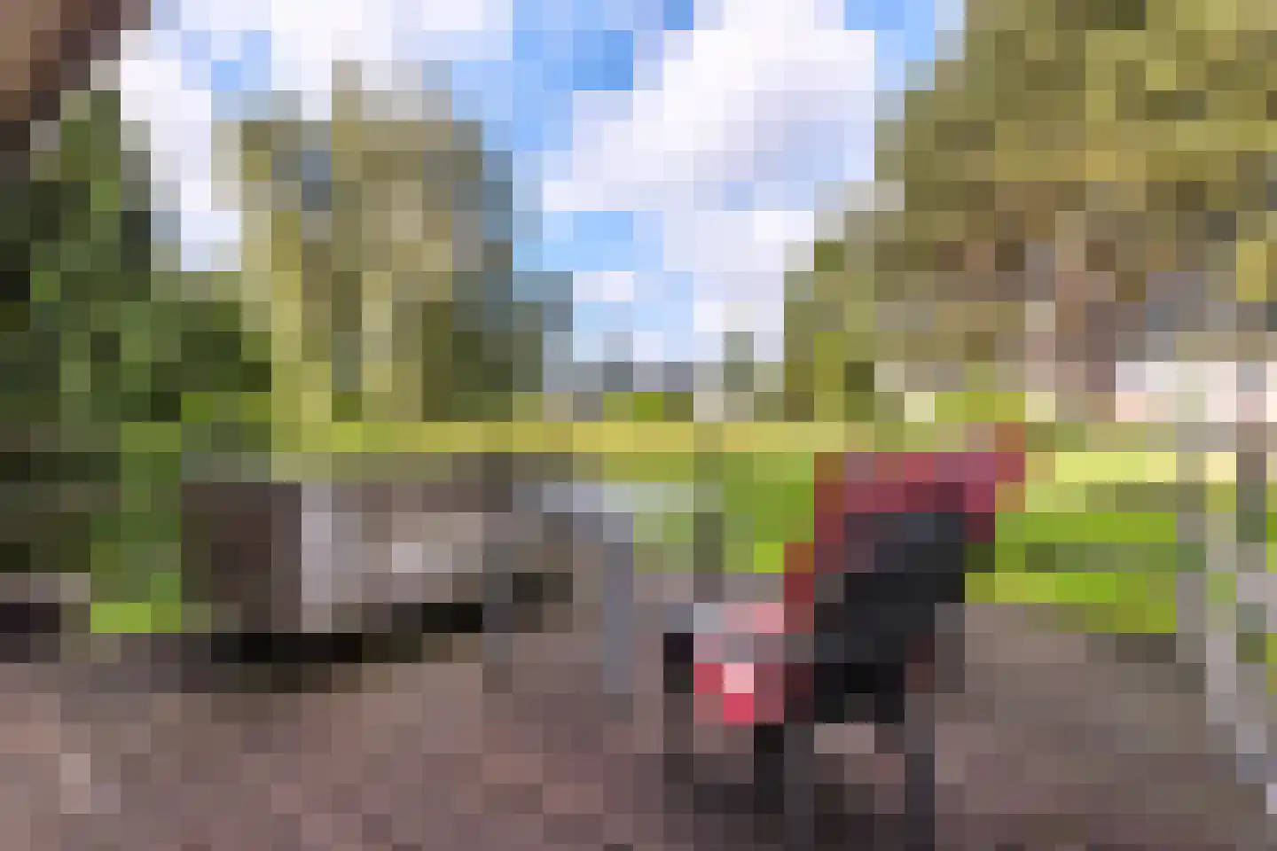 Barkmolenstraat 76 Groningen thumbnail 5