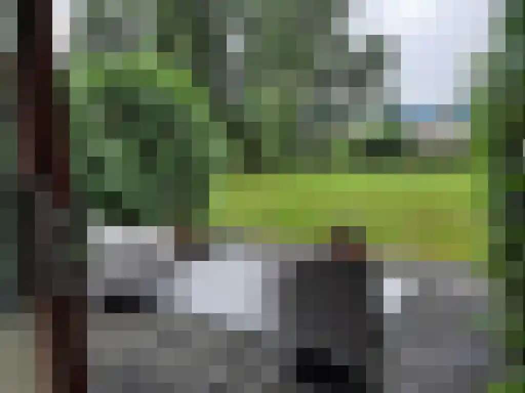 Barkmolenstraat 80 Groningen thumbnail 6