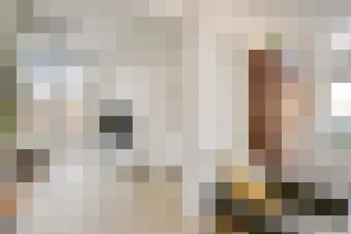 Barkstraat 1 Tilburg thumbnail 18