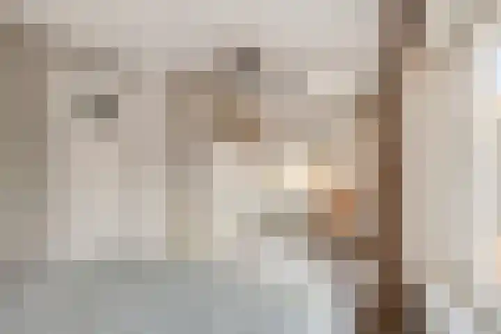Barkstraat 1 Tilburg thumbnail 7