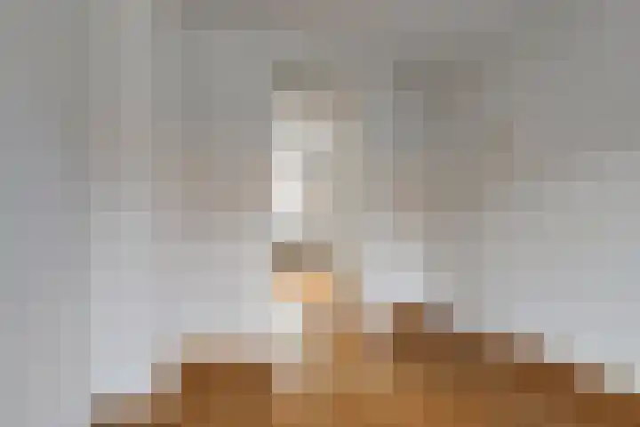 Barkstraat 17 Tilburg thumbnail 22