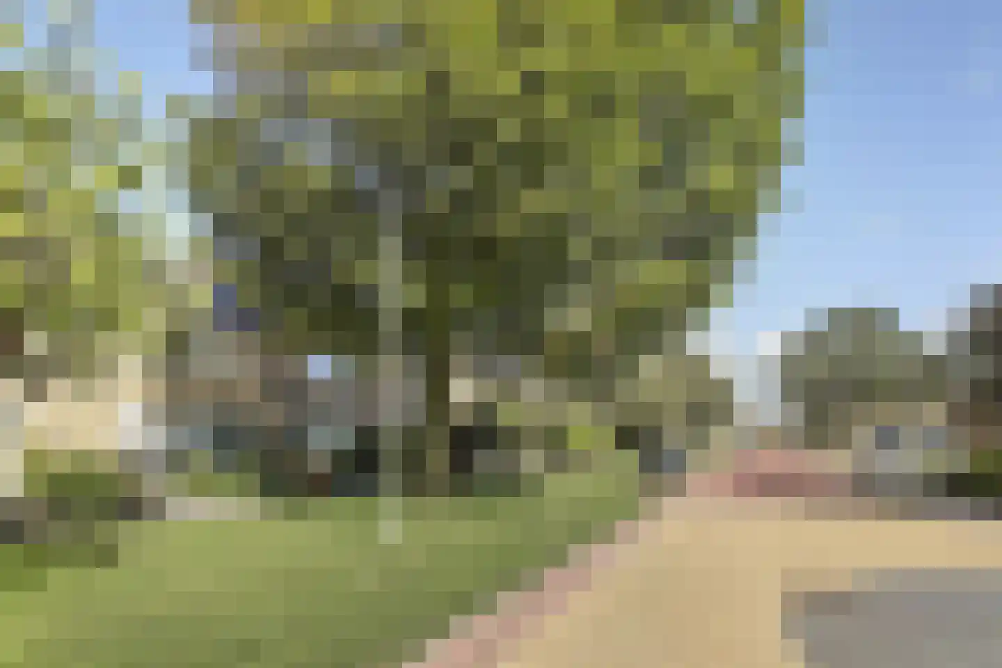 Barkstraat 19 Harlingen thumbnail 7