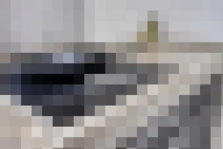 Barkstraat 2 Tilburg thumbnail 17
