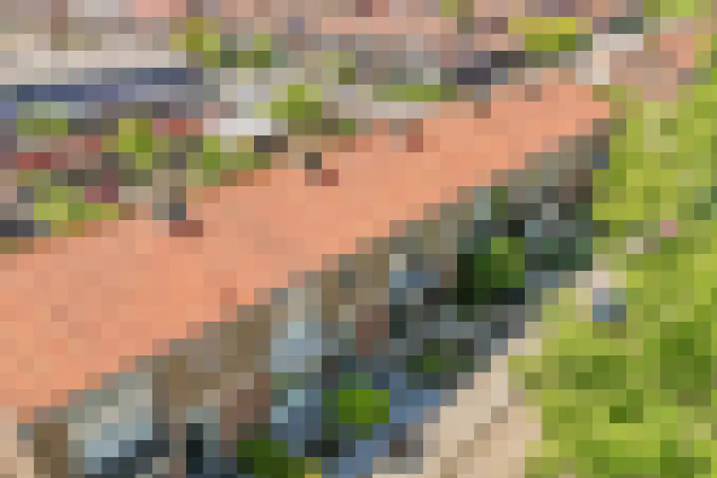 Barkstraat 8 Emmeloord thumbnail 12