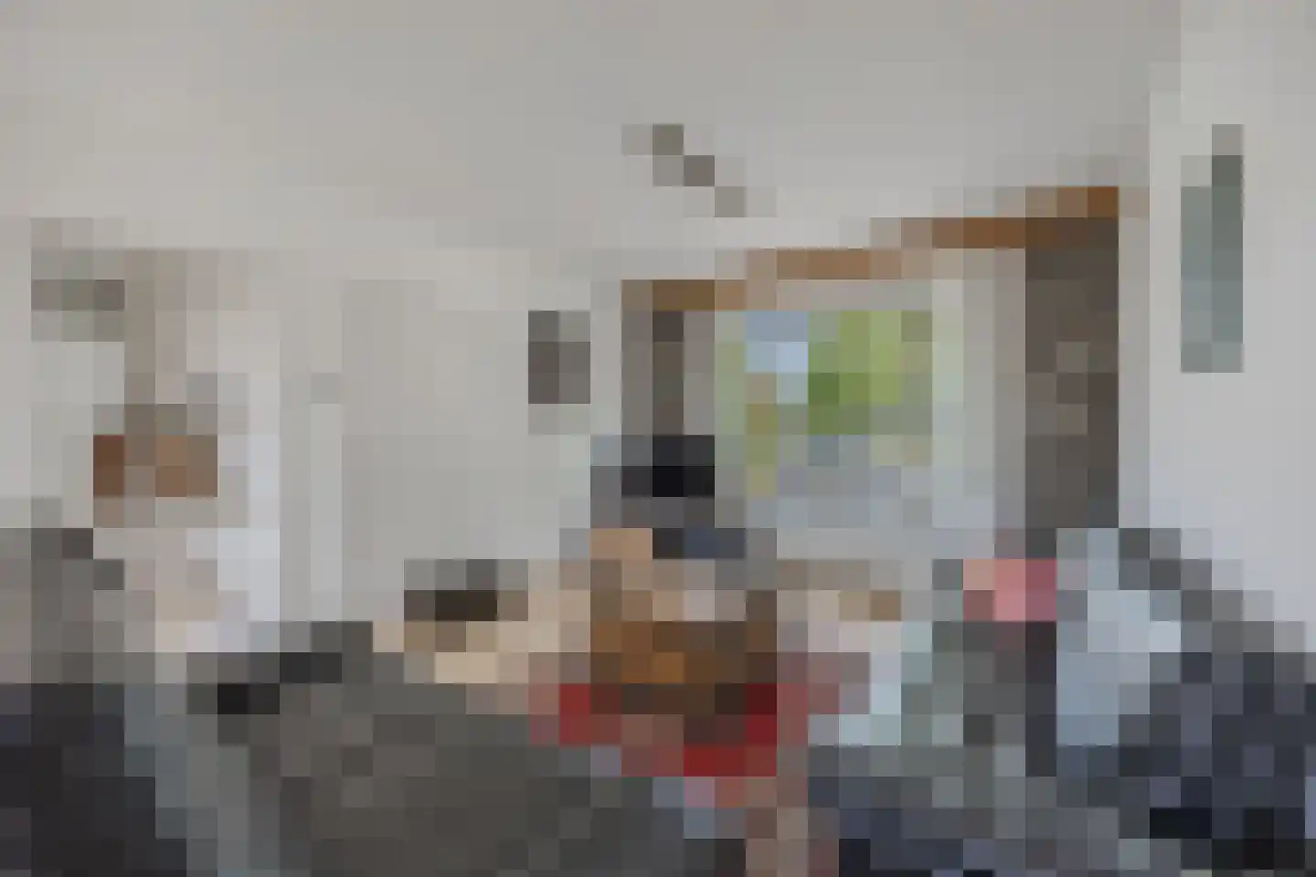 Barkstraat 8 Emmeloord thumbnail 19