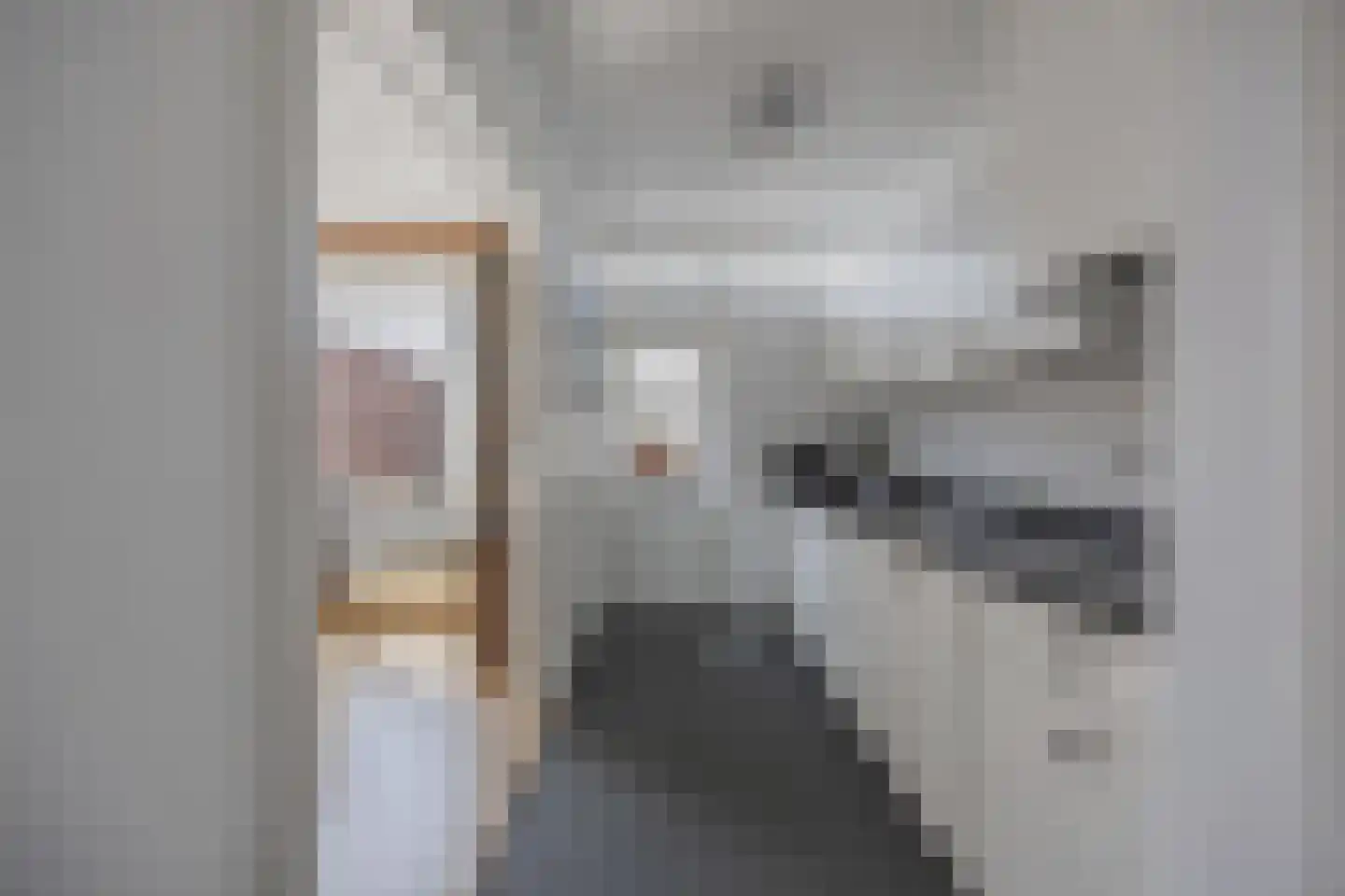 Barkstraat 8 Emmeloord thumbnail 26