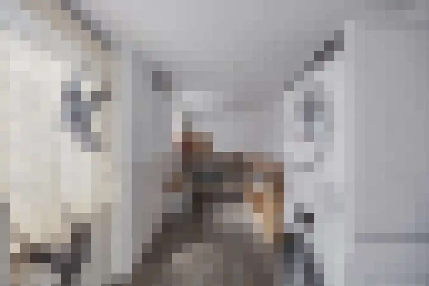 Barkstraat 8 Emmeloord thumbnail 31