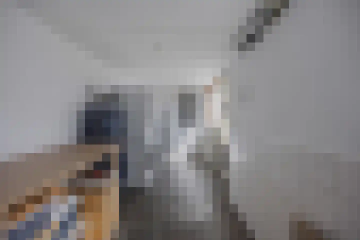 Barkstraat 8 Emmeloord thumbnail 32