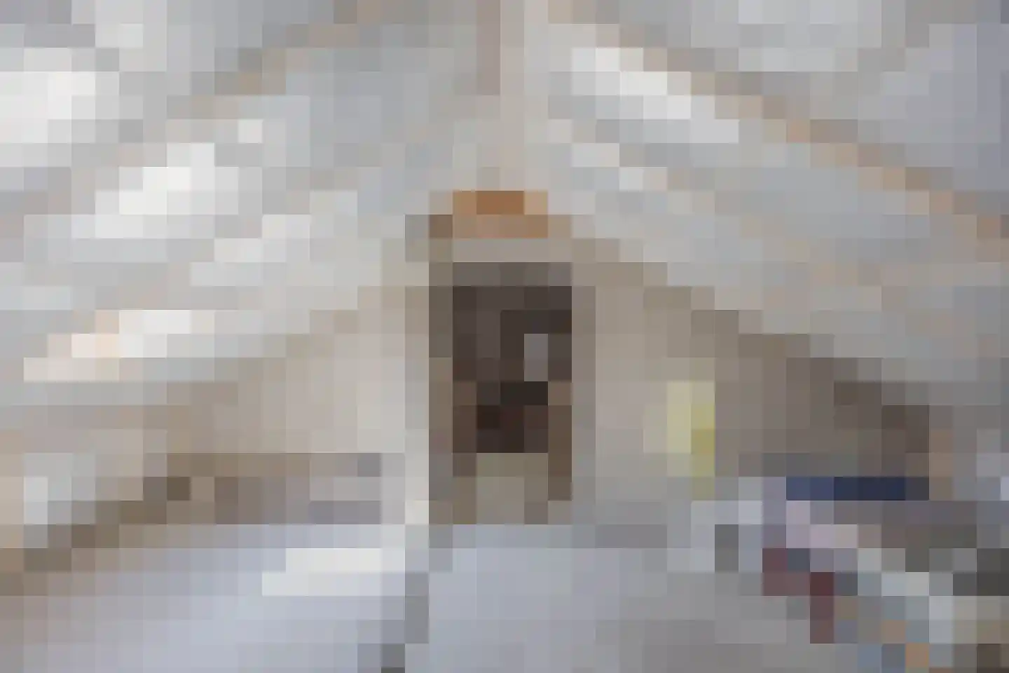Barkstraat 8 Emmeloord thumbnail 47