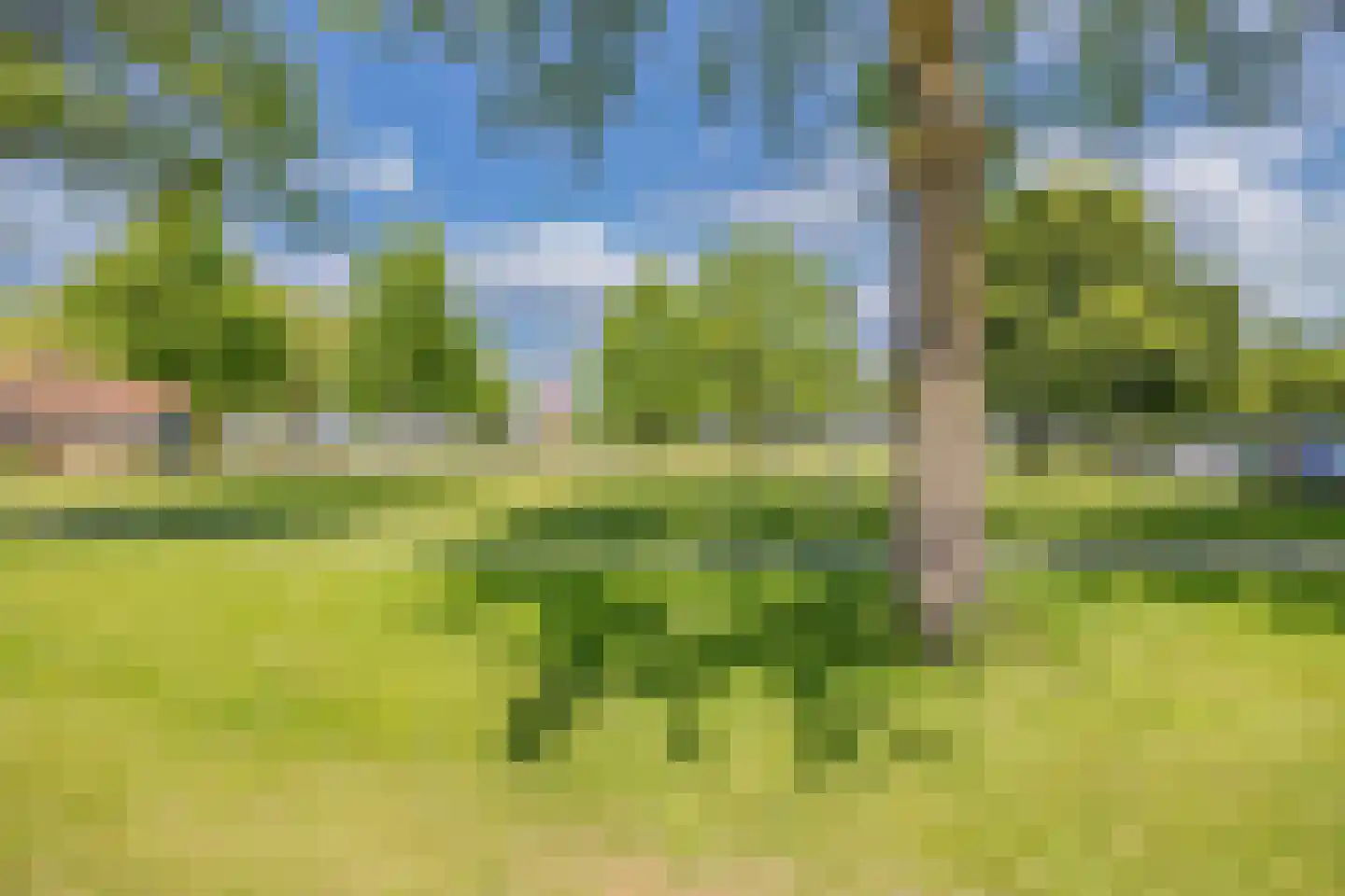 Barkstraat 8 Emmeloord thumbnail 9
