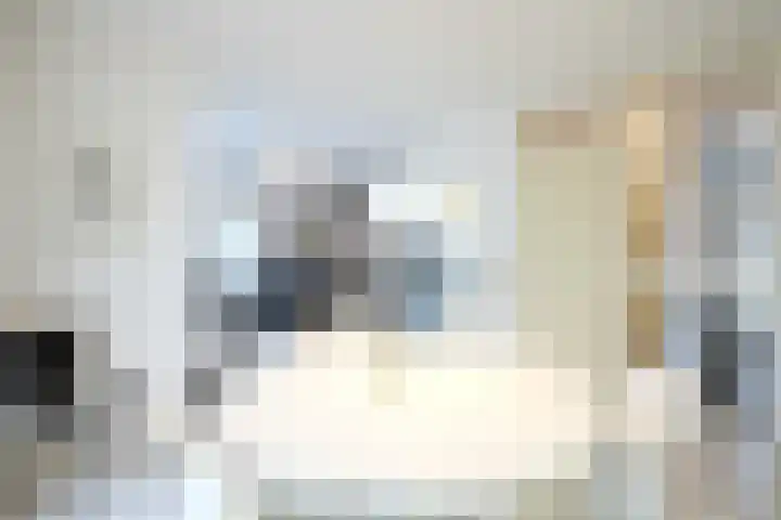 Barkwerf 8 Zoetermeer thumbnail 10