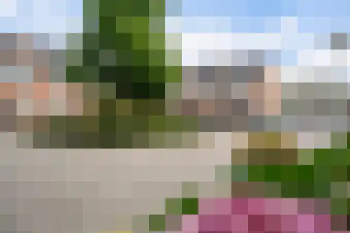 Barkwerf 8 Zoetermeer thumbnail 11