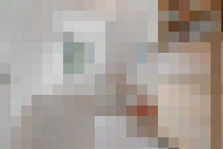 Barkwerf 8 Zoetermeer thumbnail 36