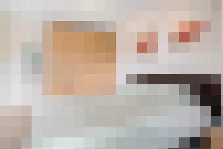 Barkwerf 8 Zoetermeer thumbnail 38