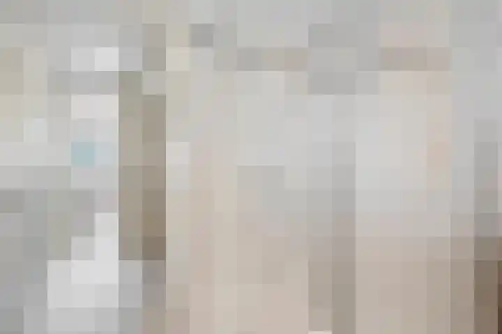 Barkwerf 8 Zoetermeer thumbnail 42