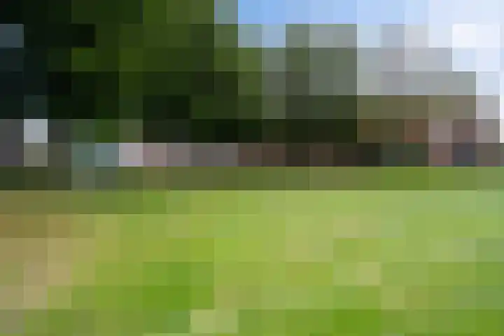 Barkwerf 8 Zoetermeer thumbnail 44