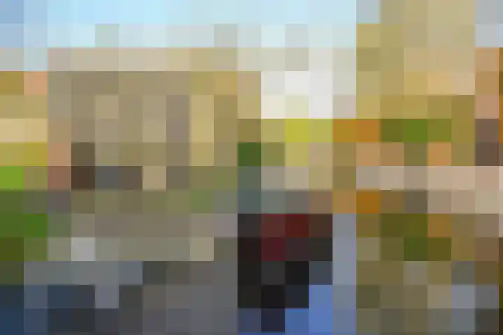 Barlaeuslaan 22 Bussum thumbnail 26