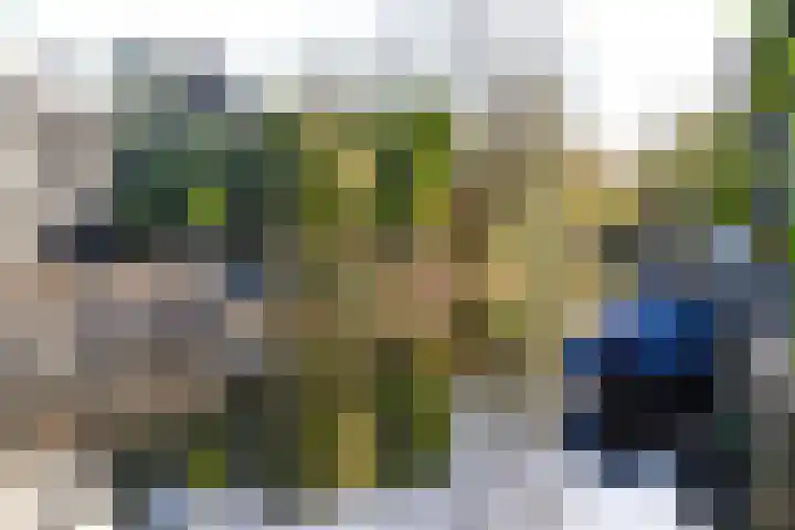 Barlaeuslaan 22 Bussum thumbnail 27