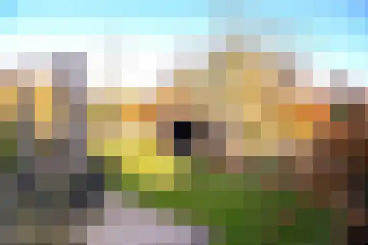 Barlaeuslaan 22 Bussum thumbnail 28