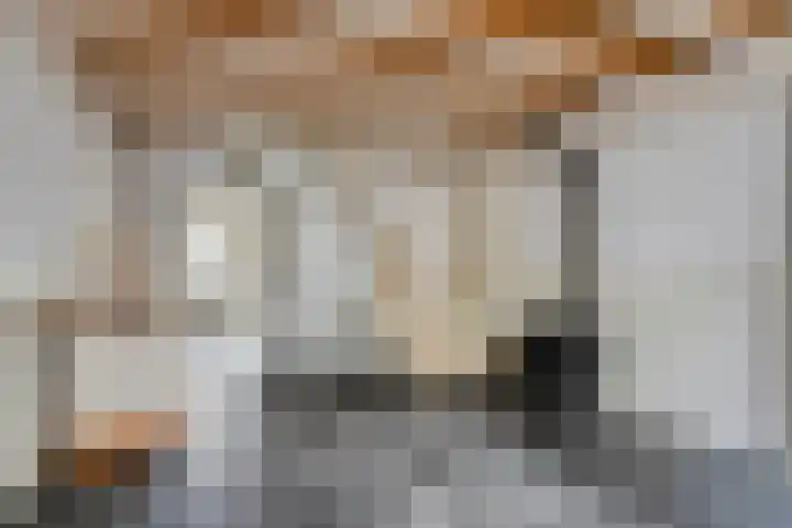 Barlheze 21 Zutphen thumbnail 10