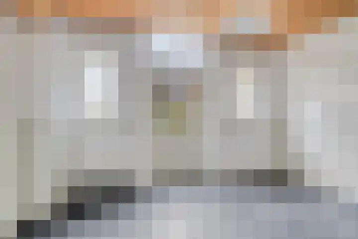 Barlheze 21 Zutphen thumbnail 12