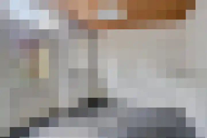 Barlheze 21 Zutphen thumbnail 13