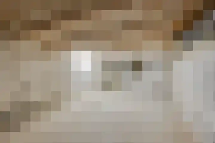Barlheze 21 Zutphen thumbnail 15