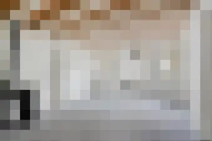 Barlheze 21 Zutphen thumbnail 16