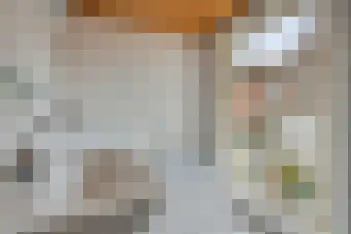 Barlheze 21 Zutphen thumbnail 20