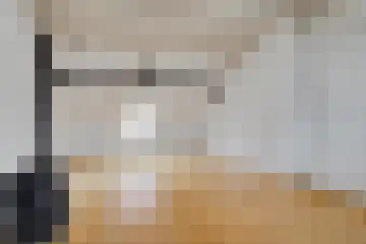 Barlheze 21 Zutphen thumbnail 24