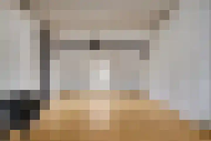 Barlheze 21 Zutphen thumbnail 25