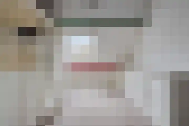 Barlheze 21 Zutphen thumbnail 27