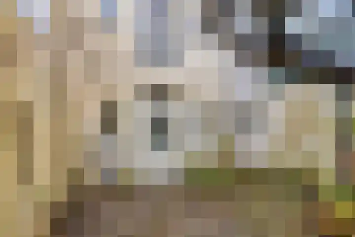 Barlheze 21 Zutphen thumbnail 29