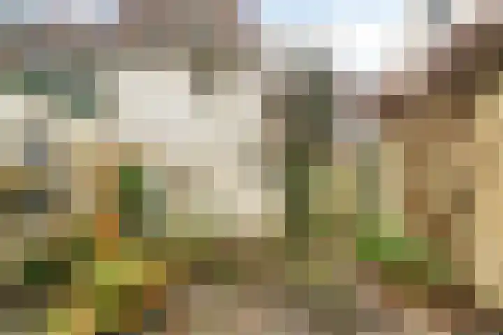 Barlheze 21 Zutphen thumbnail 30